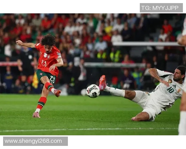 匈牙利足球明星的风采展现与个人魅力的证件照解析 匈牙利足球明星的风采展现与个人魅力的证件照解析