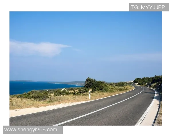 探索甘美WVS高士路的独特魅力与风景,感受城市与自然的完美融合 探索甘美WVS高士路的独特魅力与风景,感受城市与自然的完美融合