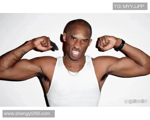 探索hoops篮球明星的传奇之路与辉煌成就背后的故事与激情