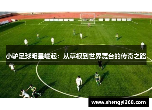 小驴足球明星崛起：从草根到世界舞台的传奇之路