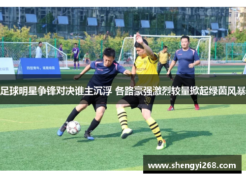 足球明星争锋对决谁主沉浮 各路豪强激烈较量掀起绿茵风暴
