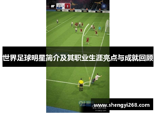 世界足球明星简介及其职业生涯亮点与成就回顾